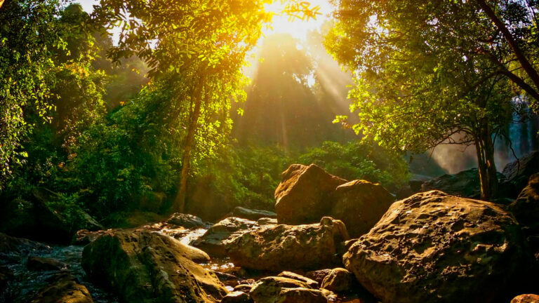 Amanecer1