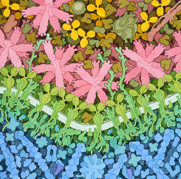 Goodsell-influenza-vaccine-1