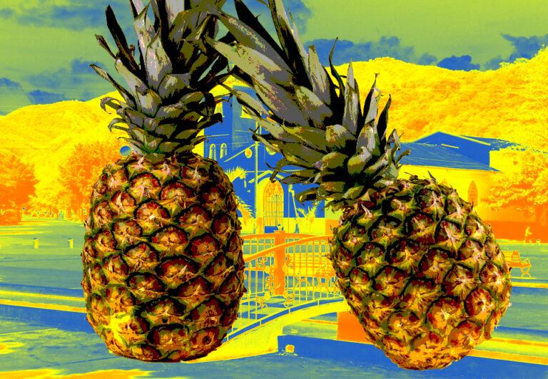 piña port-def