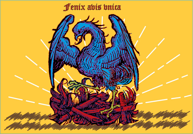 Ave-Fenix-1