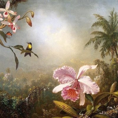 Introducción de especies y nuevas variedades. Aproximación a una historia de la floricultura en Colombia (2)