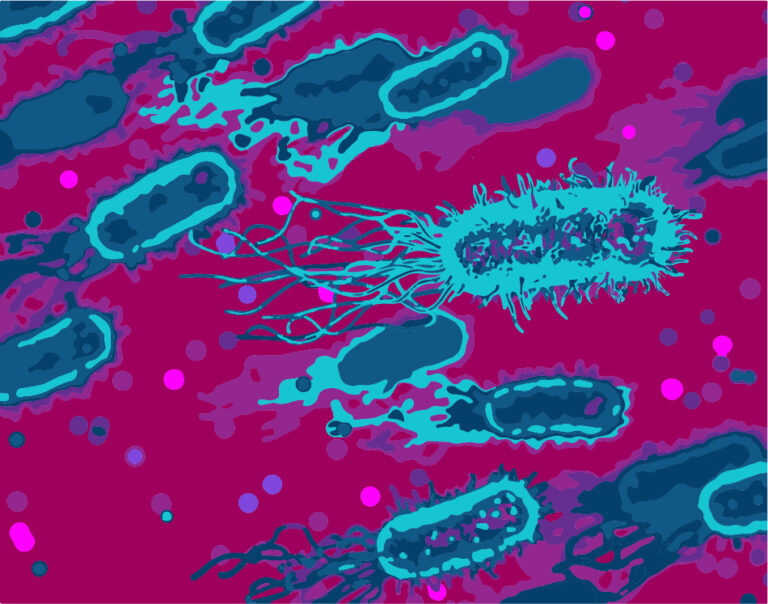 bacterias Prtd