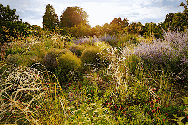 1-Land of the Fairies fotografía de Stefan Schulze
