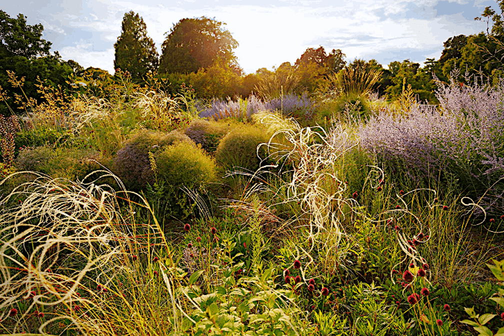 1-Land of the Fairies fotografía de Stefan Schulze