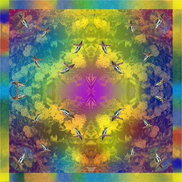 Pañuelo Colibrí Mango pechinegro 1 - Imagen 3