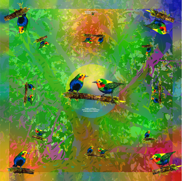 Colorida Pañoleta Tángaras multicolor - Imagen 2