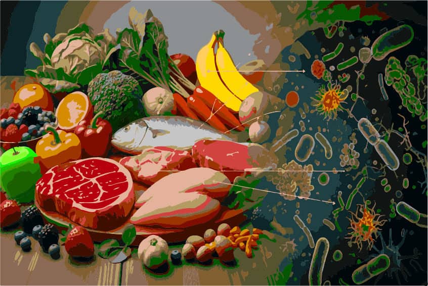 Microbiota y alimentos Prtd w