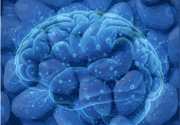 Prtd Viagra vs Alzheimer