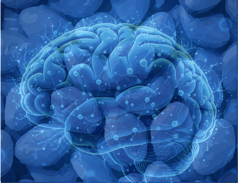 Prtd Viagra vs Alzheimer